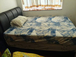 Evergreen Park (D19), Apartment #632088591